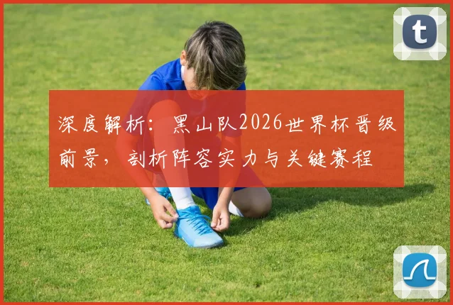 深度解析：黑山队2026世界杯晋级前景，剖析阵容实力与关键赛程